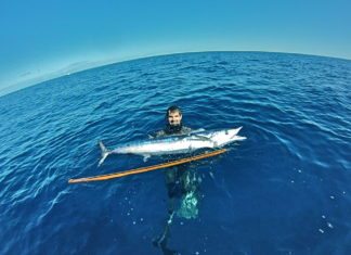 #News: Custom Conch Cannons: locally crafted spearguns - A person riding a wave on top of a body of water - Speargun