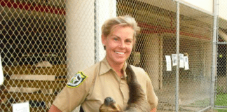 Jeanne Selander – Animal Farm Supervisor - A person petting a dog - The Key West Weekly Newspaper