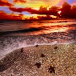 #Feature: Local photographer captures essence of Florida - A sunset over some water - Alan S Maltz Gallery