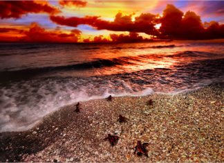 #Feature: Local photographer captures essence of Florida - A sunset over some water - Alan S Maltz Gallery