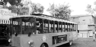 #News: City does groundwork for franchise agreements - A black and white photo of a bus - Zoo Miami