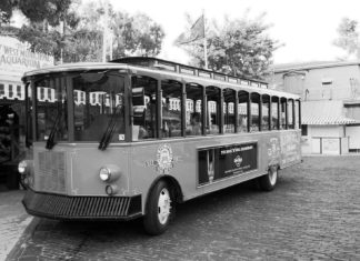 #News: City does groundwork for franchise agreements - A black and white photo of a bus - Zoo Miami