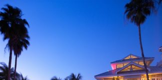 Lodging industry undergoing change - A pool next to a palm tree - Hyatt Centric Key West Resort & Spa