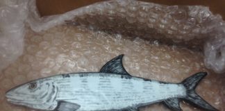 #Feature: Create custom tiles - A close up of a fish - Milkfish