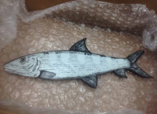#Feature: Create custom tiles - A close up of a fish - Milkfish