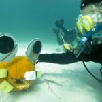 #Events: Divers Carve Pumpkins Underwater in Keys Marine Sanctuary - A group of people swimming in the water - Water