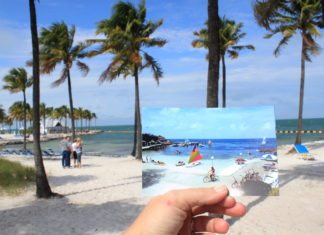 #Celebrate: Happy Birthday, Marathon! - A beach with a palm tree - Caribbean