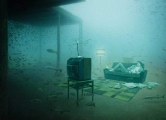 #Arts: Austrian man gives life again to Vandenberg - A small boat in a room - Photograph