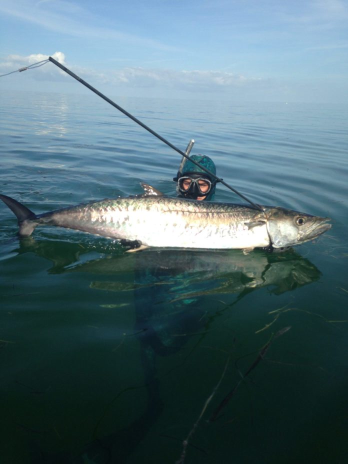 #fishing: Spearfishermen are targeting kingfish - A fish on a boat in a body of water - Water