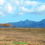 All things Cuba – The Weekly visits the Island ‘A Million Miles Away’ - A field with a mountain in the background - Steppe