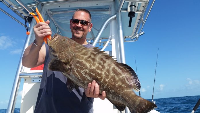 Grouper season opens May 1 - A man holding a fish on a boat in the water - Call of Duty