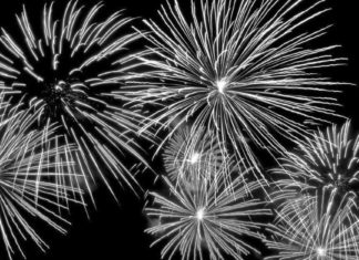Fireworks! Picnics! Parades! - Fireworks in the sky - Fireworks