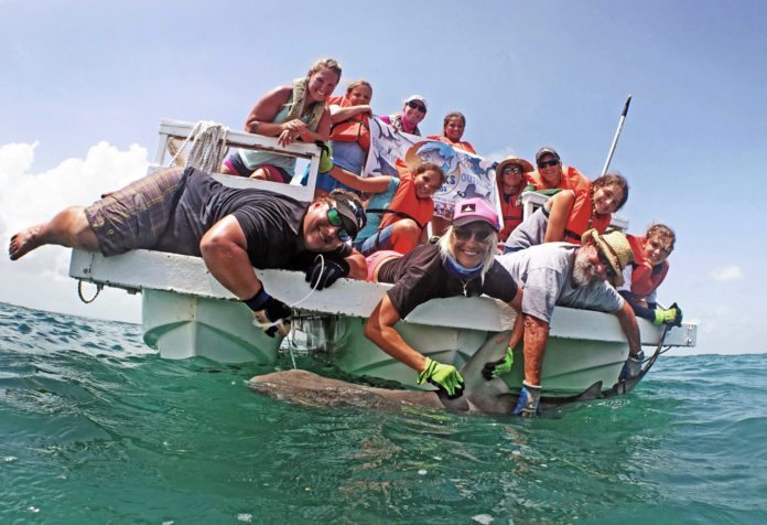 Girls do ‘Shark Week’ in the Keys - A group of people riding on the back of a boat in the water - Nurse shark