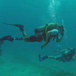 Joining forces to rebuild the reef - A person swimming in the water - Free-diving