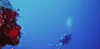Scuba en Cuba - Coral reef