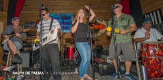 Musicians Fest taking shape – Locals-only event set for Sept. 19-20 - A group of people in a room - Plucked string instrument