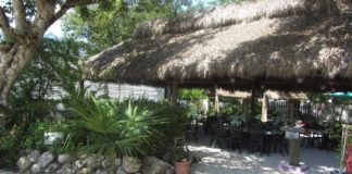 Federal judge dismisses case against city of Marathon - A tree with snow on the ground - The Stuffed Pig