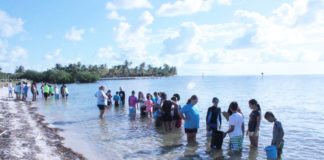 Kids investigate marine environment - A group of people standing next to a body of water - Leisure