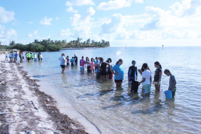 Kids investigate marine environment - A group of people standing next to a body of water - Leisure