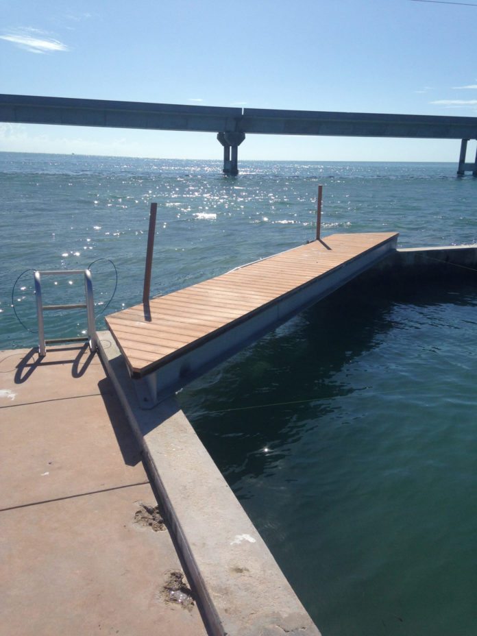 Pigeon Key unveils new ‘shark’ pool - A body of water next to the ocean - Water