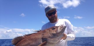 Grouper season has its pluses and minuses - A man holding a fish in the water - Grouper