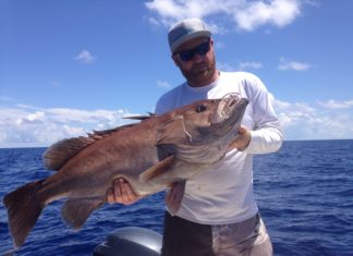 Grouper season has its pluses and minuses - A man holding a fish in the water - Grouper