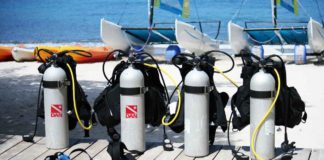 Safety First: On average, two die during Florida’s lobster sport season - A group of people sitting at a dock - Scuba diving