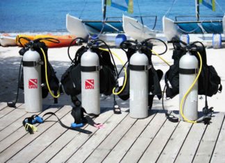 Safety First: On average, two die during Florida’s lobster sport season - A group of people sitting at a dock - Scuba diving