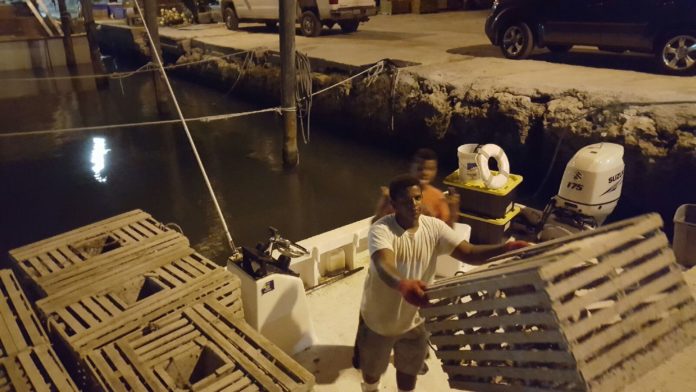 Trap life: Born and bred lobstermen know how to hustle - Tourist attraction