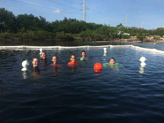 “Turn Down The Heat” - A group of people swimming in a body of water - Open water swimming