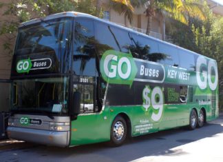 The new go buses offer low cost trips to mainland - A bus that is parked on the side of a road - Bus