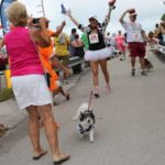 Cow Key Bridge Run: Show us your teats - A group of people walking on a road - Cow Key