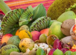 Tropical Fruit Fiesta: All fruit and games - A variety of fresh fruit and vegetables on display - Food