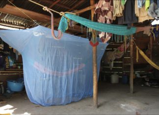 No bite = no malaria - A blue and white umbrella - 