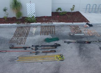 BRAZEN THIEVERY BRAZEN THIEVERY - Lobster