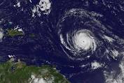 HURRICANE IRMA: From the City of Marathon - A close up of a tree - Hurricane Irma