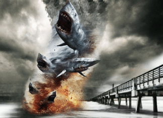 The best and worst Irma rumors - A close up of a pier - Sharknado