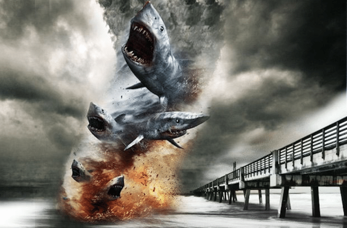 The best and worst Irma rumors - A close up of a pier - Sharknado