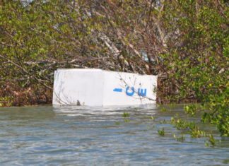 What’s next for fishing guides post-Irma - A person riding on the back of a boat in the water - Water resources