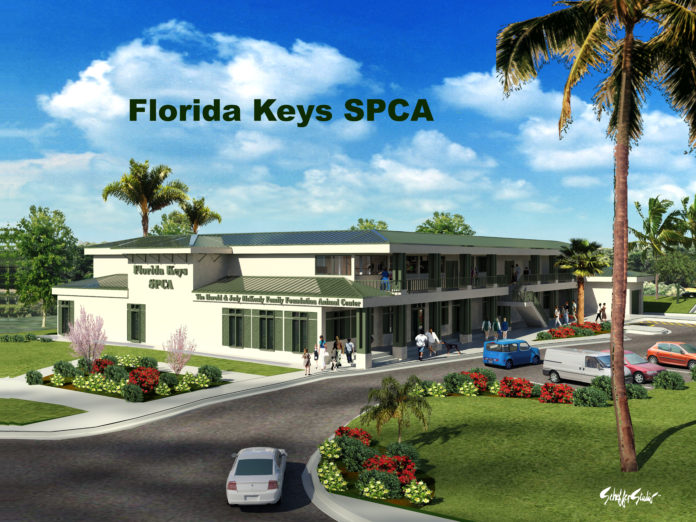 For The Love of Florida Keys SPCA Animals - A palm tree in front of a building - Florida Keys SPCA, Inc.