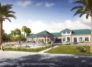 The future of health care – Baptist releases rendering of new Marathon hospital - A palm tree in front of a house - Fishermen’s Community Hospital