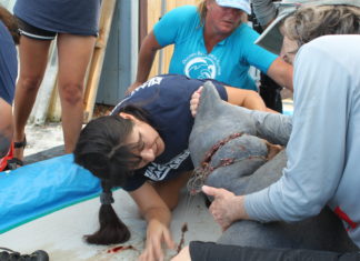Rescued & Released! - A group of people looking at each other - Florida Keys