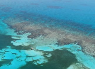 KEEPING CLEAR WATERS KEEPING CLEAR WATERS - A pool next to a body of water - Florida Keys