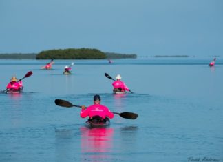 Need a tribe? - A group of people rowing a boat in a body of water - Sea kayak