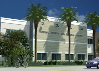 Ready for rebuild – BOCC to staff: Plantation Key courthouse project urgent - A group of palm trees on the side of a building - Plantation Key