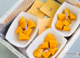 Praise the Mango - A plastic container of food - Mango