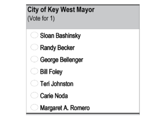 Seven Compete for Key West Mayor - A screenshot of a cell phone - Paper