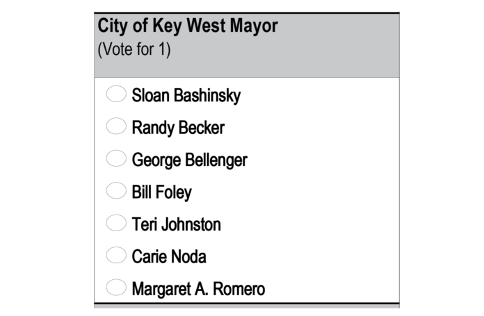 Seven Compete for Key West Mayor - A screenshot of a cell phone - Paper