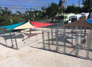 One year after Irma: Shelter better than ever - A close up of a fence - Canopy