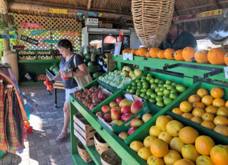 Paradise Produce open for business - A store filled with lots of fruit - Jay Haas